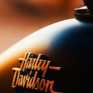 Meet your Posher, Cannon